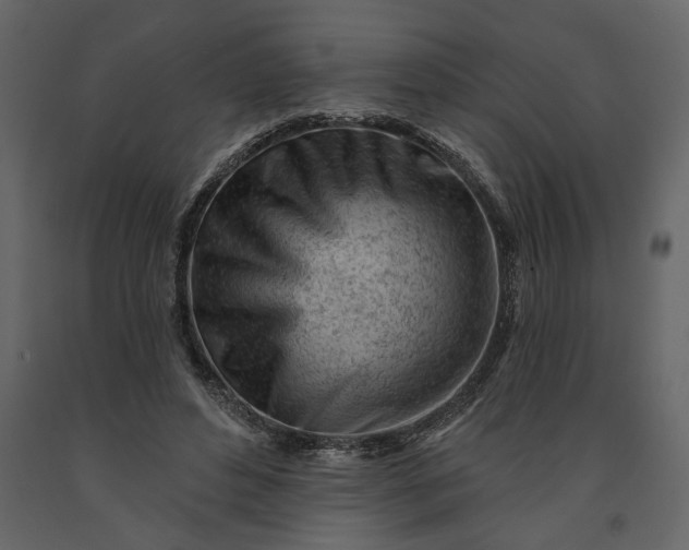 X0000091230496200708231657