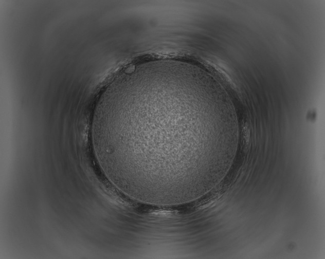 X0000091230499200708231657