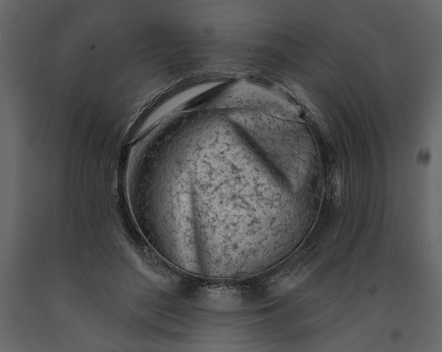 X0000091230500200708231657