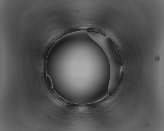 X0000091230501200708231657