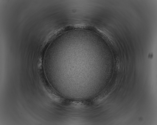 X0000091230502200708231657