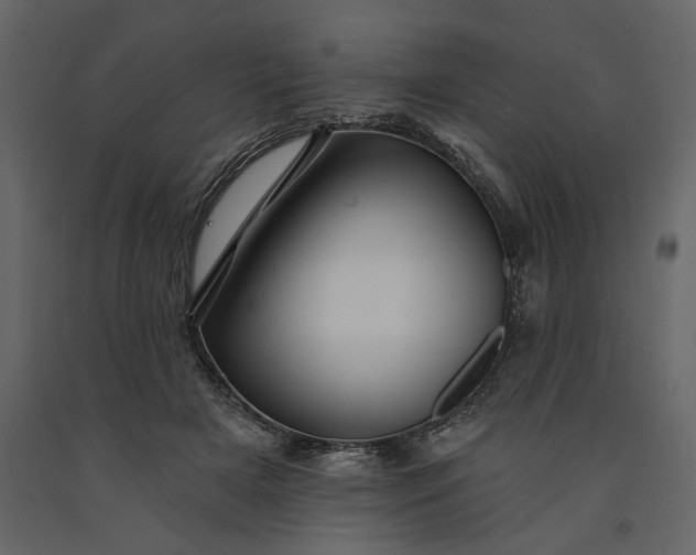 X0000091230505200708231657