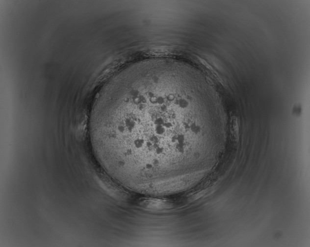 X0000091230507200708231657