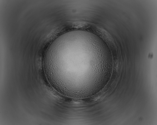 X0000091230510200708231657