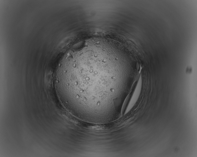 X0000091230511200708231657