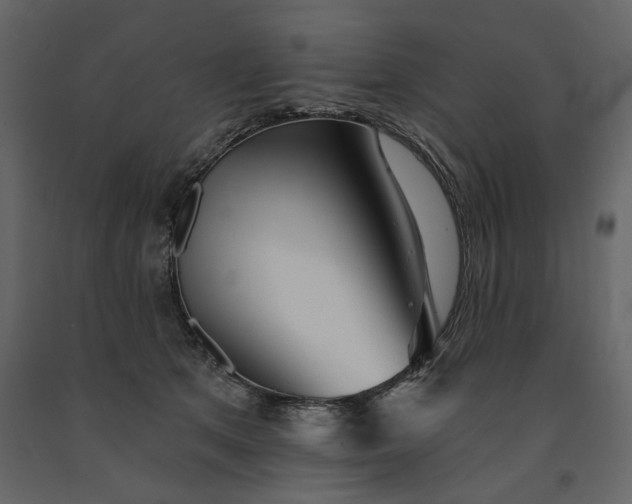 X0000091230513200708231657