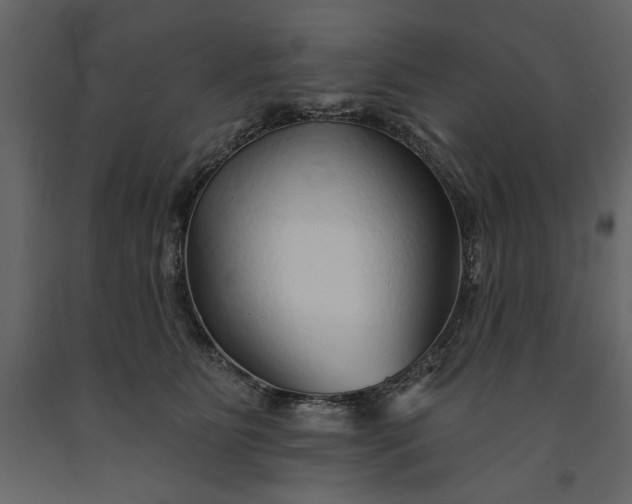 X0000091230515200708231657
