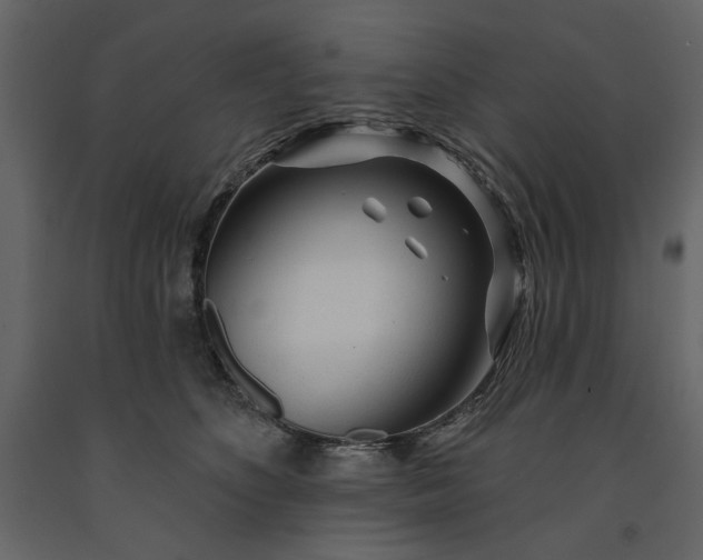 X0000091230516200708231657
