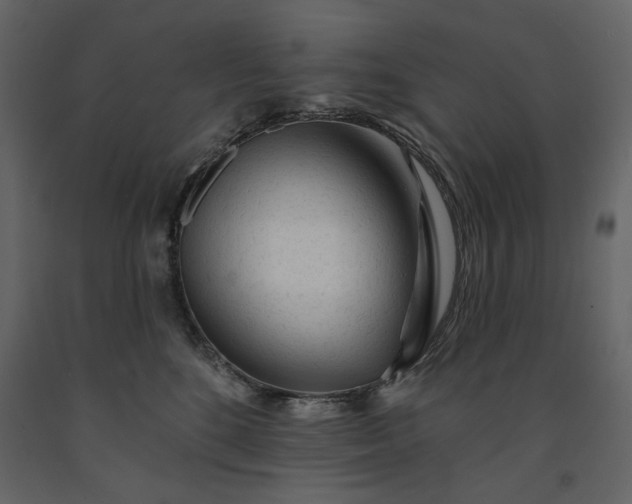 X0000091230520200708231657