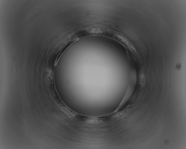 X0000091230521200708231657