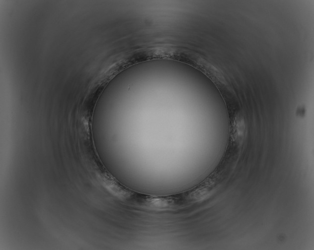 X0000091230522200708231657