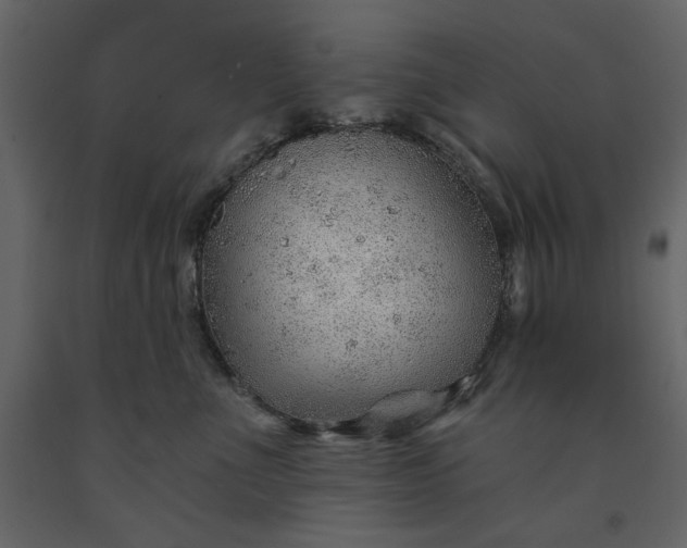 X0000091230523200708231657