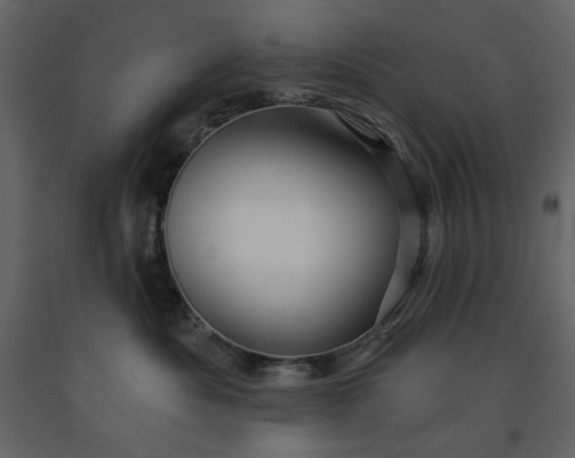 X0000091230525200708231657