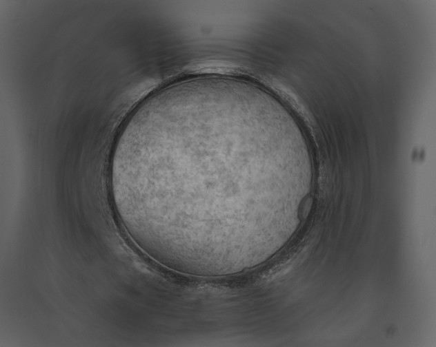 X0000091230529200708231656