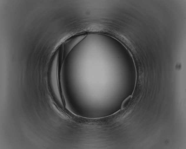 X0000091230530200708231656