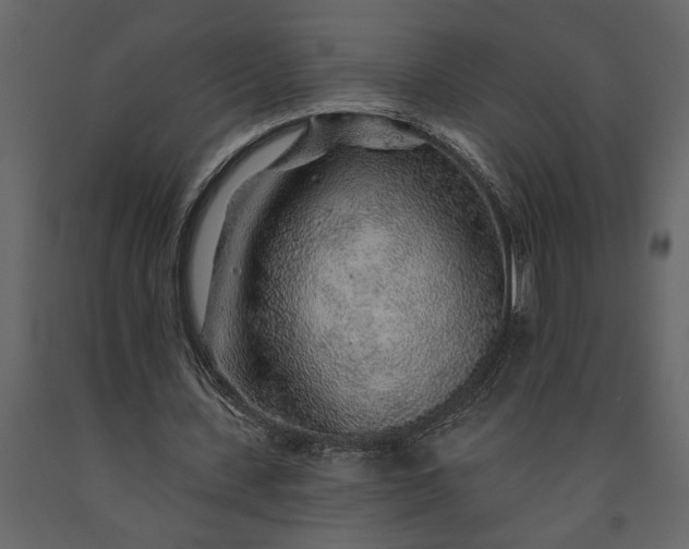 X0000091230531200708231656