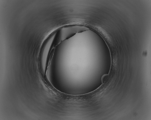 X0000091230532200708231656