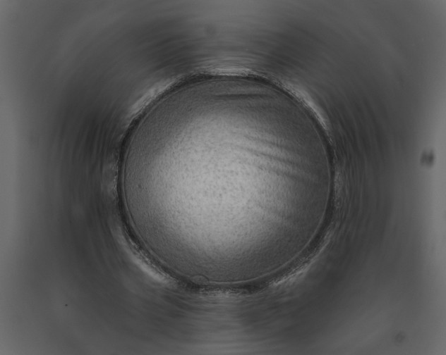X0000091230533200708231656