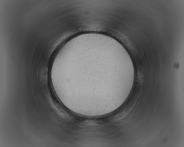 X0000091230534200708231656