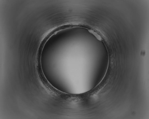 X0000091230536200708231656
