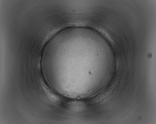 X0000091230537200708231656