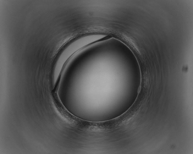 X0000091230538200708231656