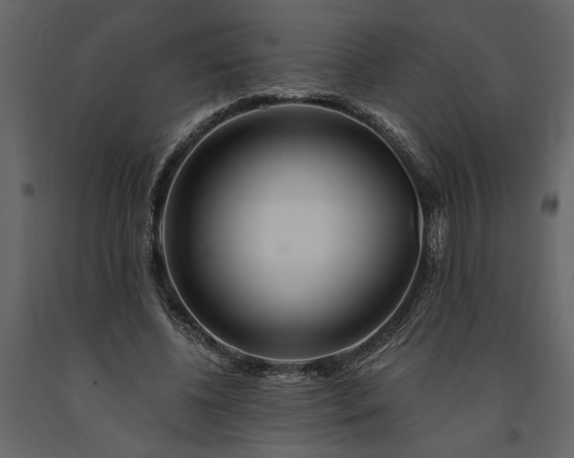 X0000091230540200708231656