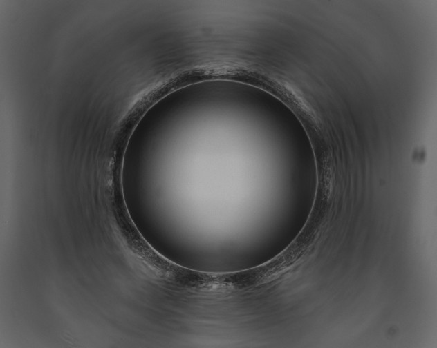 X0000091230543200708231656