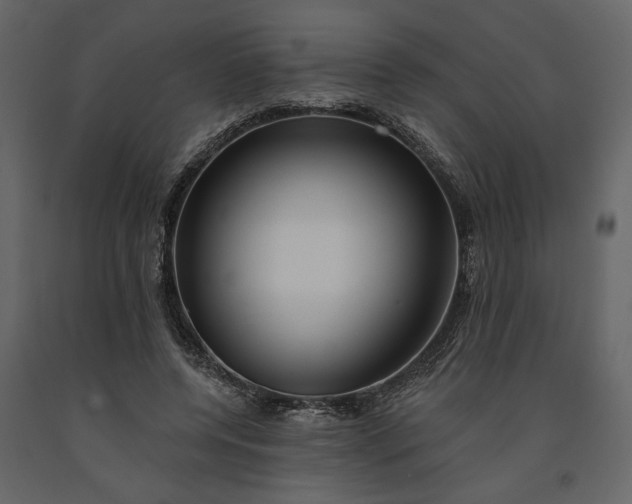 X0000091230544200708231657