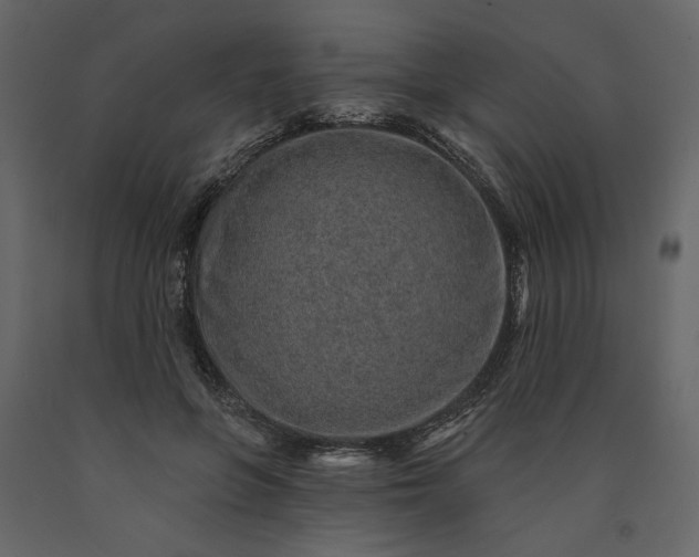 X0000091230551200708231657