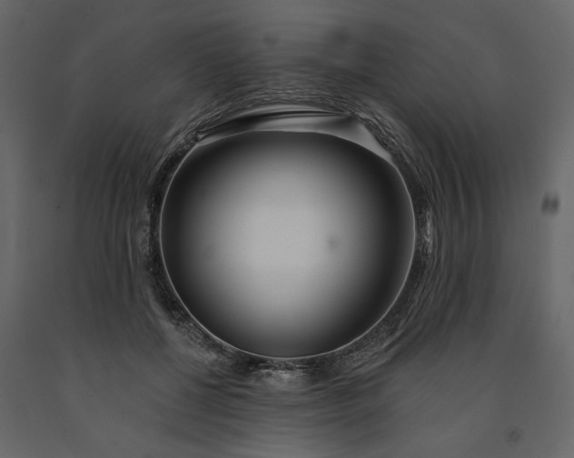 X0000091230552200708231657