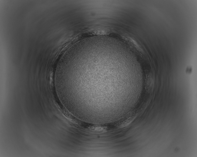 X0000091230553200708231657