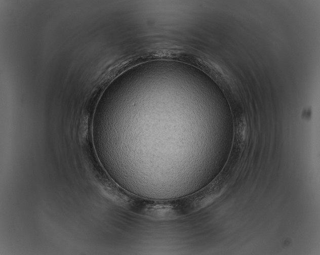 X0000091230554200708231657