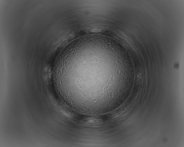 X0000091230555200708231657