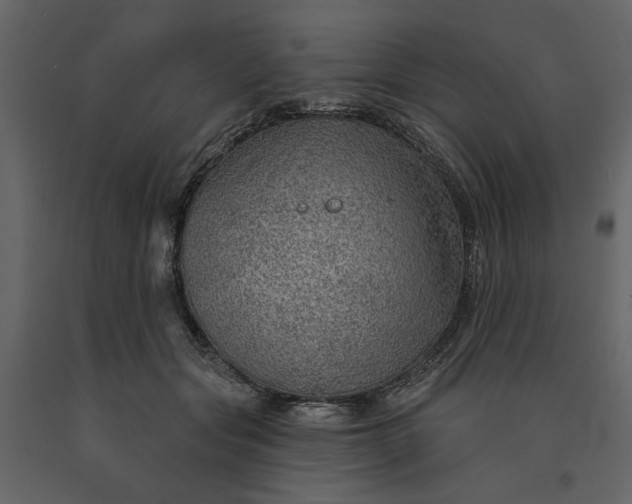 X0000091230557200708231657