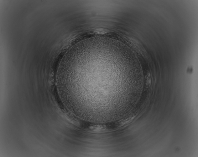 X0000091230559200708231657