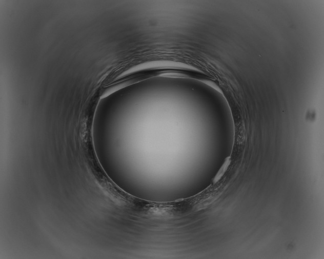 X0000091230560200708231657
