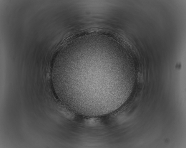 X0000091230561200708231657