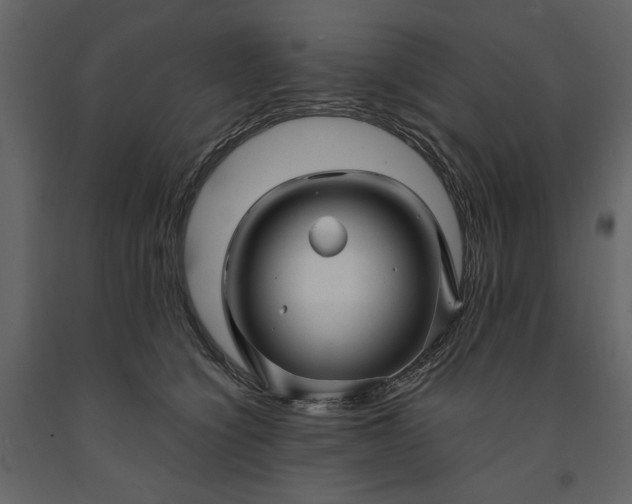 X0000091230564200708231657