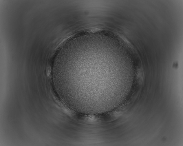X0000091230565200708231657
