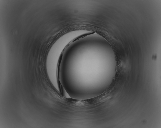 X0000091230566200708231657
