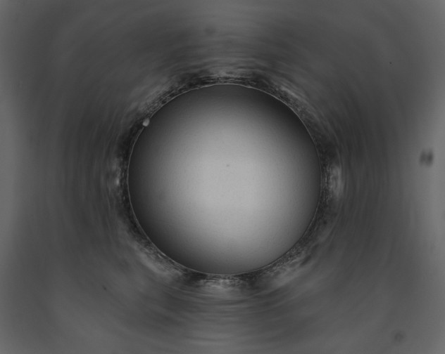 X0000091230567200708231657