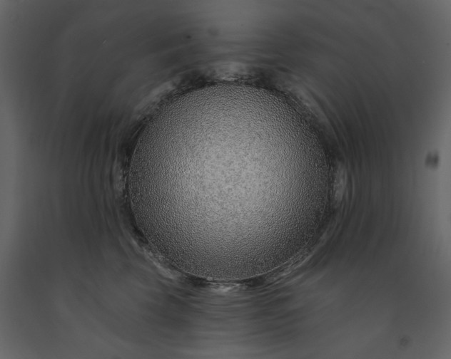 X0000091230569200708231657