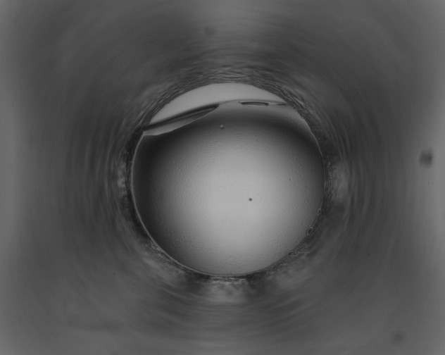 X0000091230571200708231657