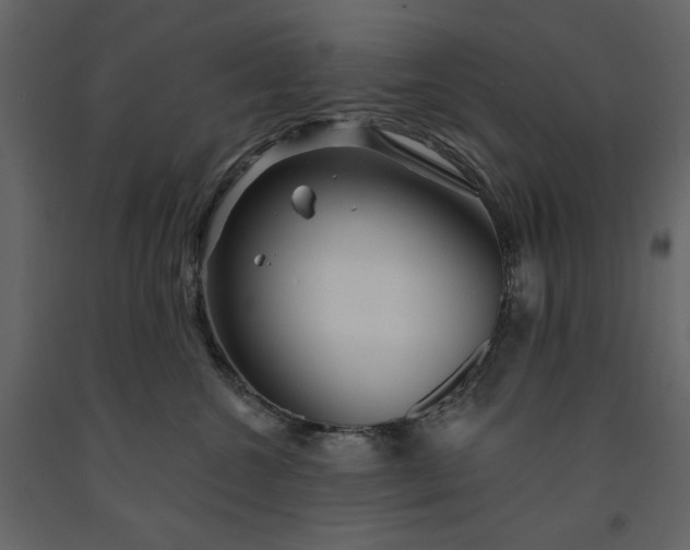 X0000091230572200708231657