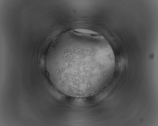 X0000091230573200708231657