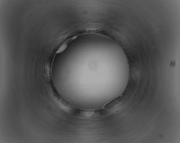 X0000091230575200708231657