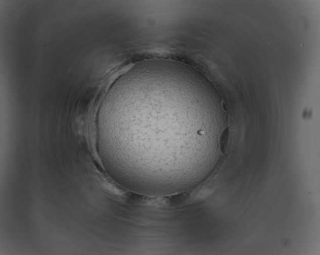 X0000091230576200708231657