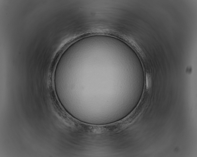 X0000091230579200708231656