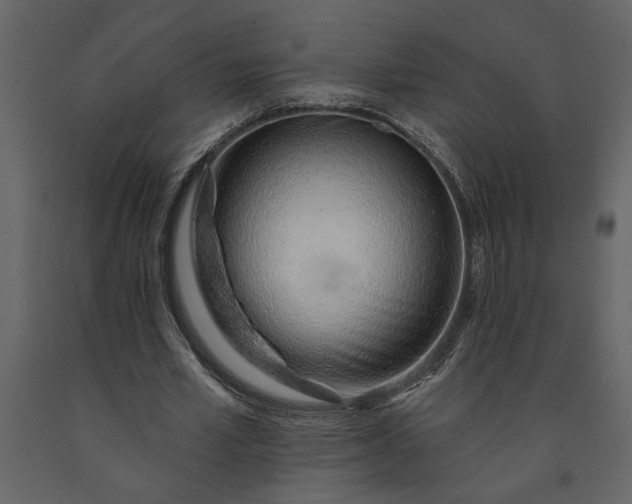 X0000091230581200708231656